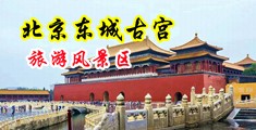 后入爆操内射中国北京-东城古宫旅游风景区